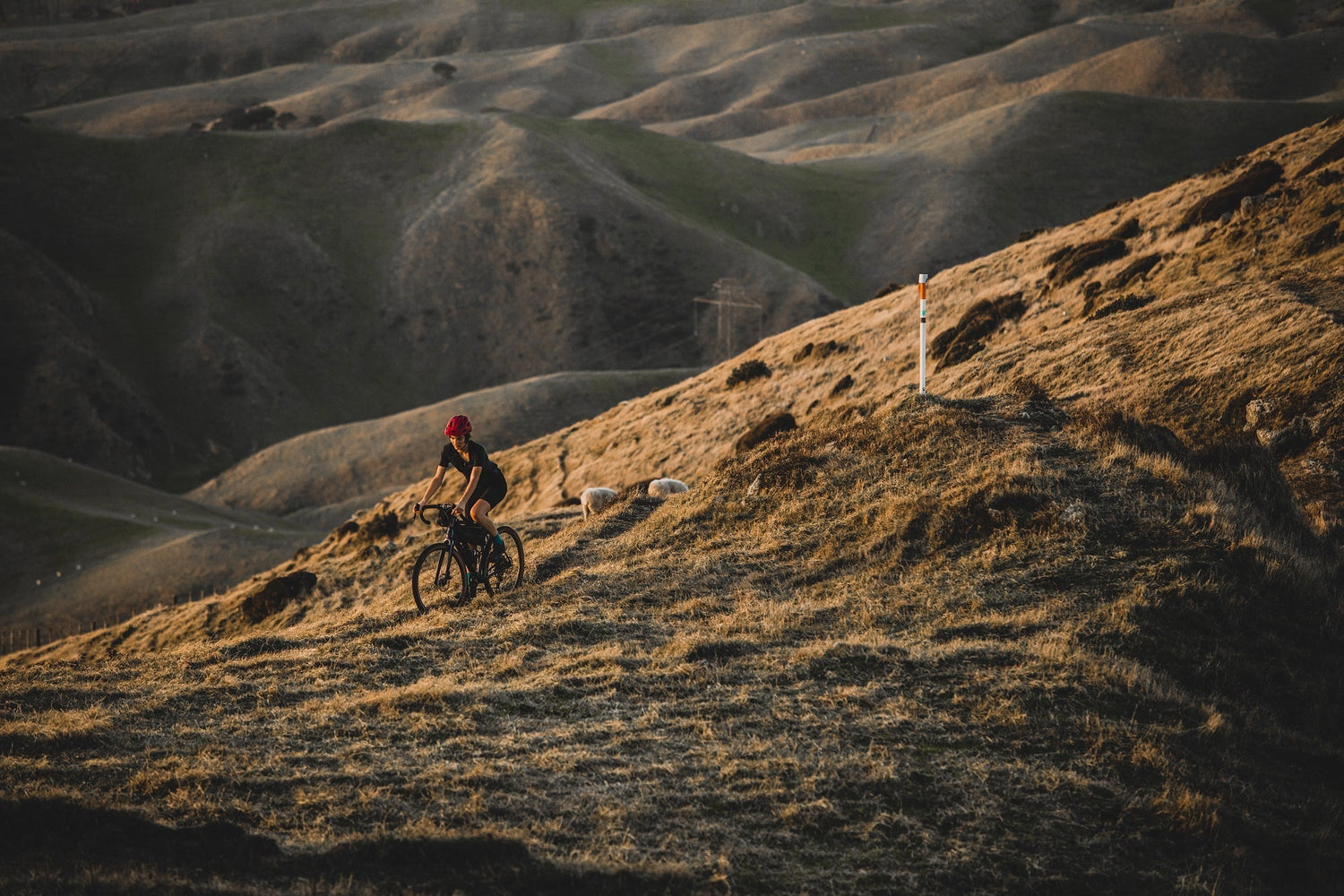 The Rove AL 650 Just Made Switchback Travel’s “Best Gravel Bikes” List