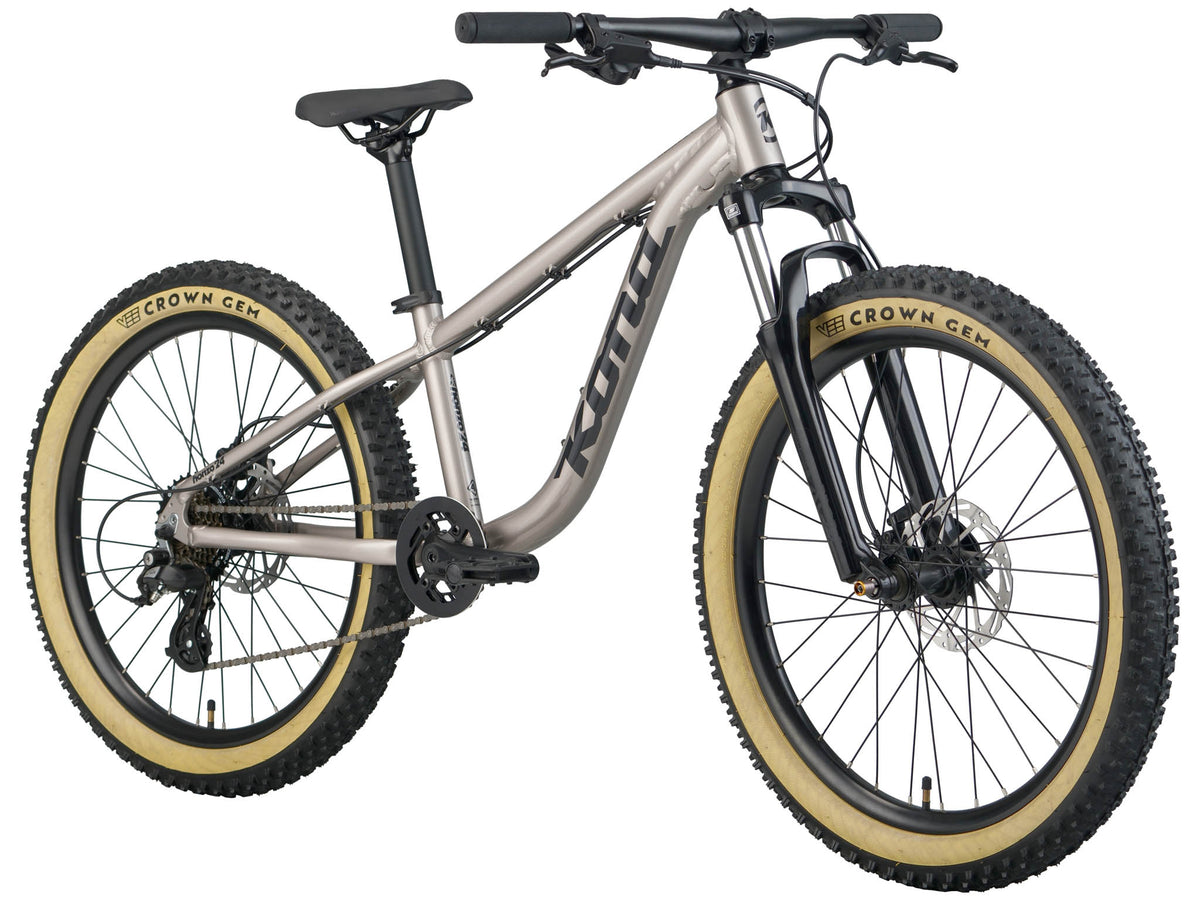 Honzo 24