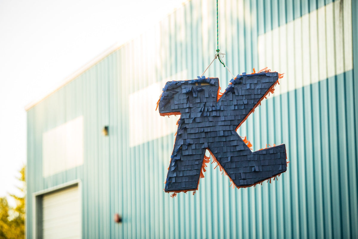 Kona is Hiring a Design Engineer in Bellingham