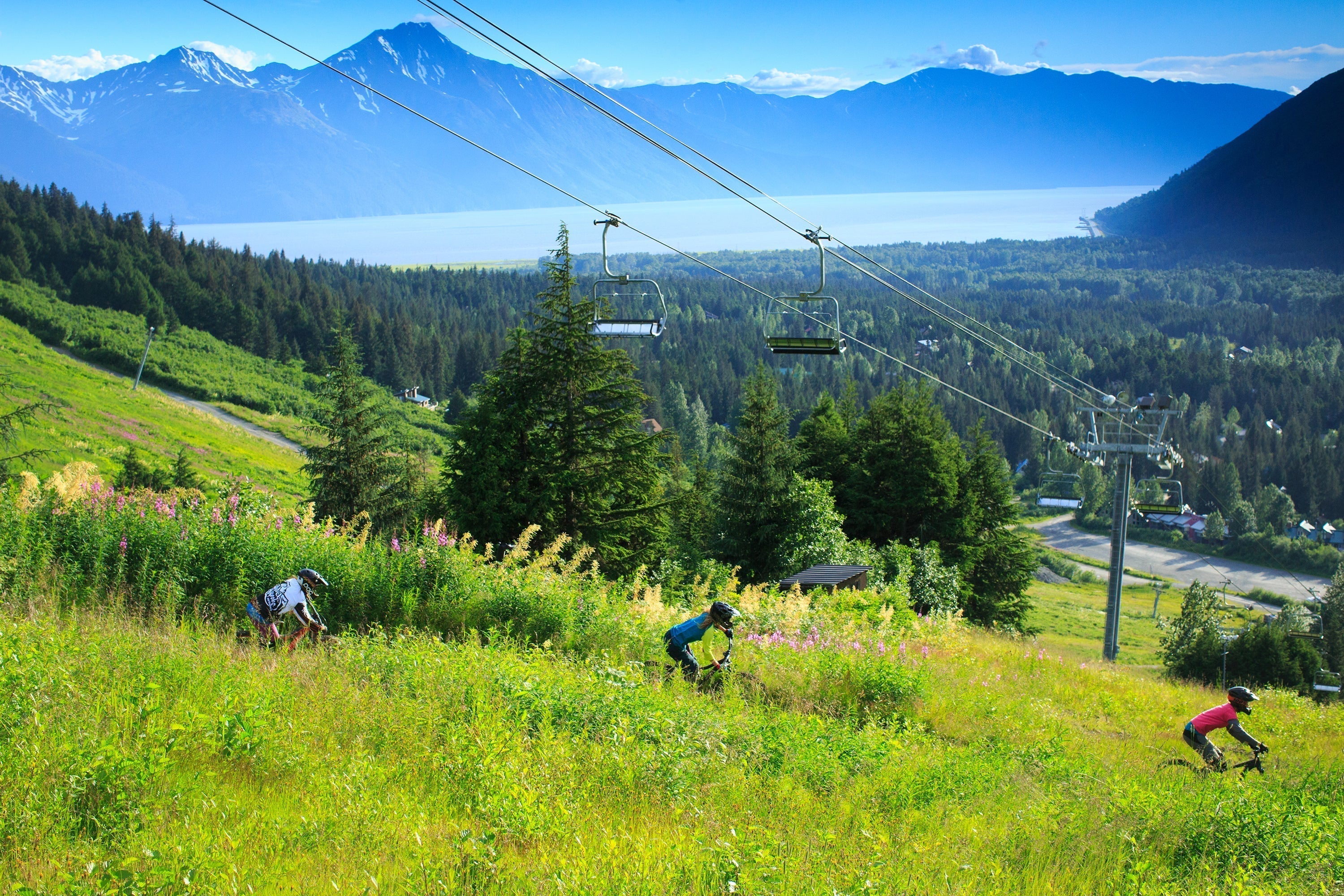 Ride the Wild North This Summer at Alyeska Bike Park
